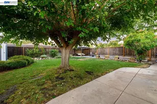 168 Albatross Ave, Livermore, CA 94550 - Photo 38