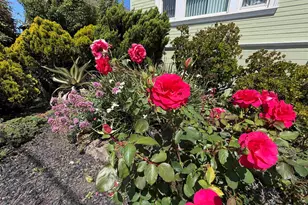 1028 61st St, Oakland, CA 94608 - Photo 32
