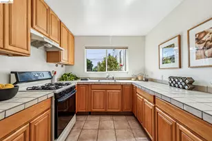1059 Talbot Ave, Albany, CA 94706 - Photo 54