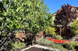 6180 Alpine Blue Dr, San Ramon, CA 94582 - Photo 36