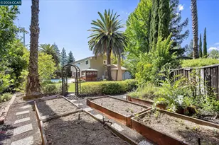651 Derbyshire Pl, Danville, CA 94526 - Photo 76