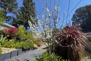 7907 Michigan Ave, Oakland, CA 94605 - Photo 88