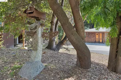 3343 Dwight Way, Berkeley, CA 94704 - Photo 36