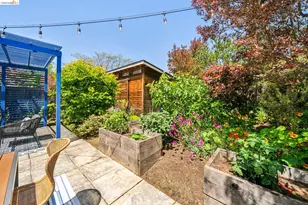 1339 Thousand Oaks Blvd, Albany, CA 94706 - Photo 50