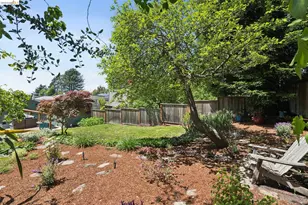 801 Keeler Ave, Berkeley, CA 94708 - Photo 62