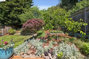 801 Keeler Ave, Berkeley, CA 94708 - Photo 54