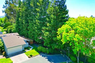 131 Shoshone Ct, Danville, CA 94526 - Photo 76