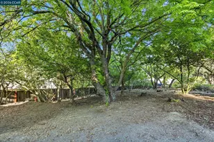 143 Montecito Crescent, Walnut Creek, CA 94597 - Photo 58