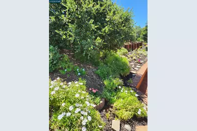 5530 Merritt Dr, Concord, CA 94521 - Photo 68