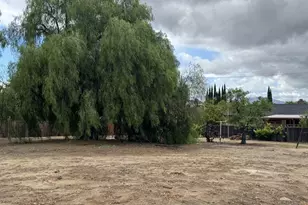 4586 Rose Ave, Oakley, CA 94561 - Photo 42