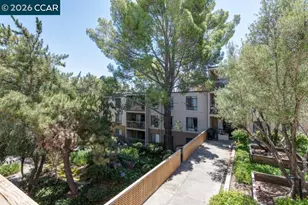 490 Civic Dr, Walnut Creek, CA 94596 - Photo 28