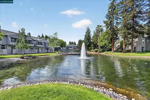 312 Rock Creek Way, Pleasant Hill, CA 94523 - Photo 46