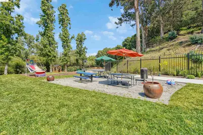 535 Pierce St #3301, Albany, CA 94706 - Photo 44