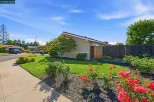 1525 American Beauty Dr, Concord, CA 94521 - Photo 32