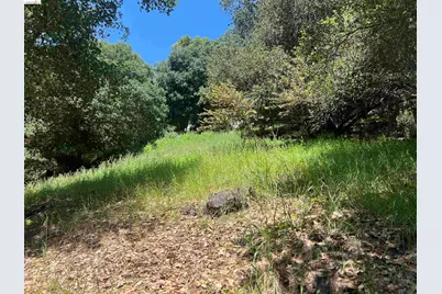 Beauforest Drive, Oakland, CA 94603 - Photo 4