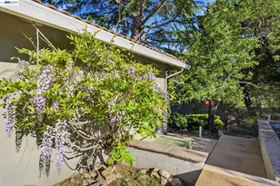 26446 Fairview, Castro Valley, CA 94542 - Photo 48