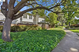 4011 Lana Terrace, Fremont, CA 94536 - Photo 50