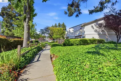 4011 Lana Ter, Fremont, CA 94536 - Photo 48