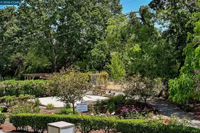 330 Civic Dr #203, Walnut Creek, CA 94596 - Photo 42
