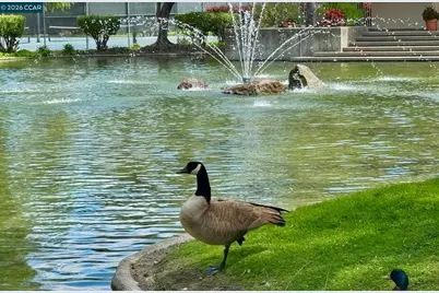 330 Civic Dr #203, Walnut Creek, CA 94596 - Photo 28