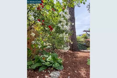 3754 Enos Ave, Oakland, CA 94619 - Photo 26