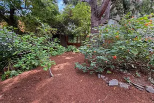 3754 Enos Ave, Oakland, CA 94619 - Photo 4