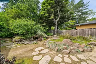 3375 Freeman Rd, Lafayette, CA 94595 - Photo 46
