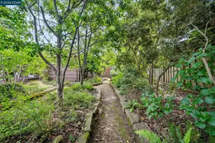 3375 Freeman Rd, Lafayette, CA 94595 - Photo 50