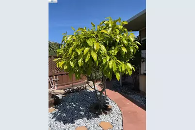 1291 Sussex Way, Hayward, CA 94544 - Photo 42