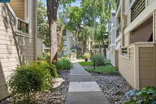 2530 Oak Rd, Walnut Creek, CA 94597 - Photo 26