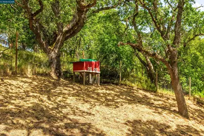3348 Walnut Ln, Lafayette, CA 94549 - Photo 34