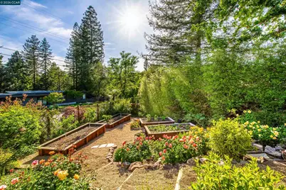 3926 Peardale Dr, Lafayette, CA 94549 - Photo 54