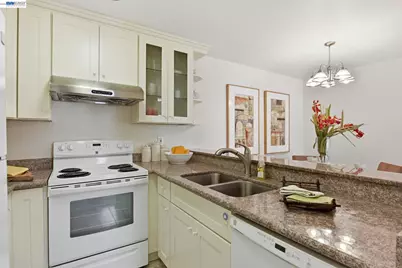 246 Galano Plz, Union City, CA 94587 - Photo 10