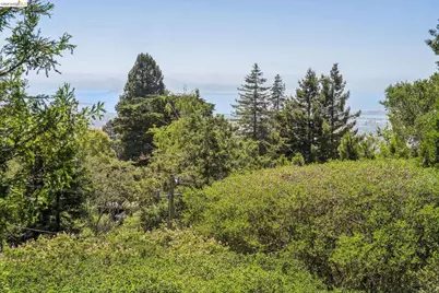 1185 Keeler Ave, Berkeley, CA 94708 - Photo 26