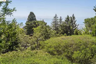 1185 Keeler Ave, Berkeley, CA 94708 - Photo 26