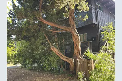 2638 Warring St #A, Berkeley, CA 94704 - Photo 2