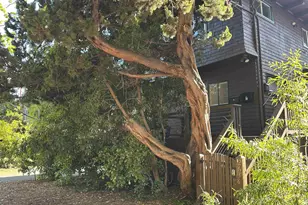 2638 Warring St, Berkeley, CA 94704 - Photo 2