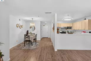 535 Pierce St, Albany, CA 94706 - Photo 12