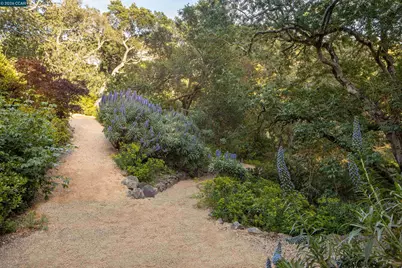 280 Indian Rd, Piedmont, CA 94610 - Photo 64