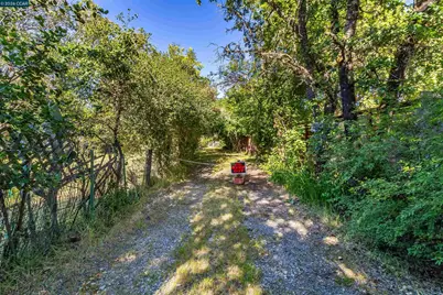 19317 Olive Ave, Sonoma, CA 95476 - Photo 4