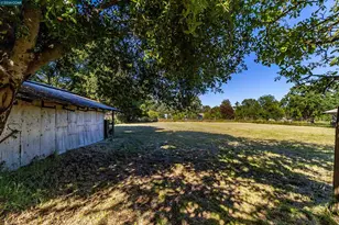 19317 Olive Ave, Sonoma, CA 95476 - Photo 14