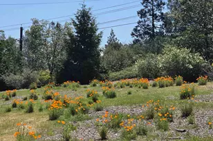 5184 Darby Russell Rd, Murphys, CA 95247 - Photo 54
