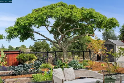 203 Radnor Court, Benicia, CA 94510 - Photo 44