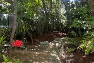 1915 Thousand Oaks Blvd, Berkeley, CA 94707 - Photo 64