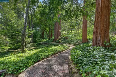 56 Camino Encinas, Orinda, CA 94563 - Photo 28