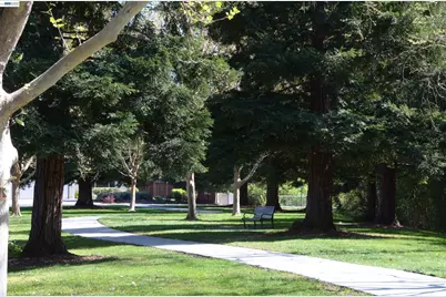1626 Harlan Dr, Danville, CA 94526 - Photo 44