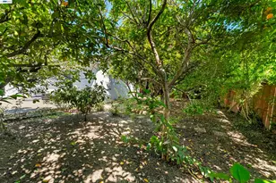 38811 Bonnie Wy, Fremont, CA 94536 - Photo 46