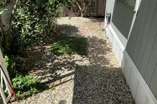 238 Aloha, Pittsburg, CA 94565 - Photo 34