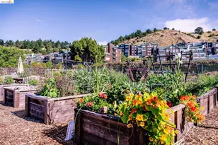 1400 Pinnacle Ct, Richmond, CA 94801 - Photo 48