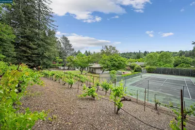 3814 Happy Valley Rd, Lafayette, CA 94549 - Photo 52